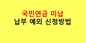 국민연금미납납부예외신청