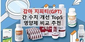 감마 지피티 수치개선 Top 영양제비교추천