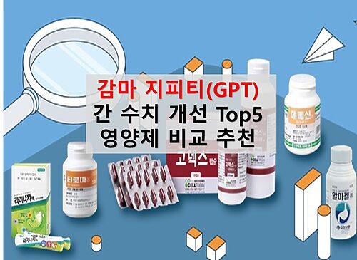 감마 지티피 GTP 수치 개선 영양제 추천