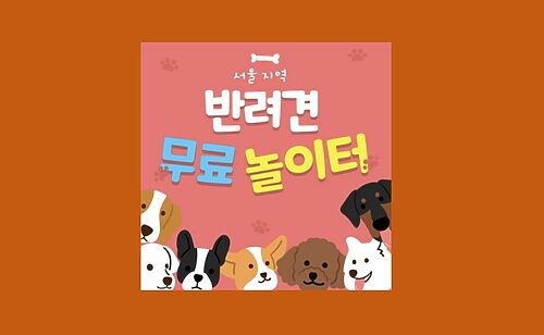 서울 반려견 강아지 무료 놀이터