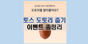 토스 도토리 줍기 이벤트 총정리