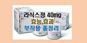 라식스정 40mg 효능 효과