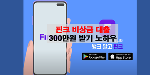 핀크 비상금 대출