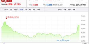 신성델타테크 주가