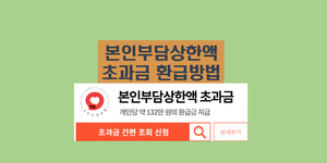 본인부담상한액 초과금