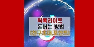 딕톡라이트 돈벌기