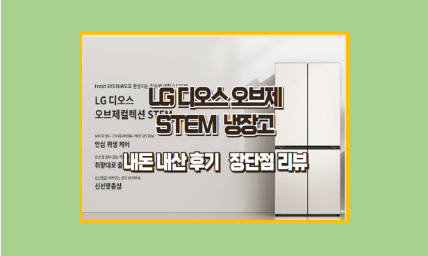 LG 디오스 STEM 