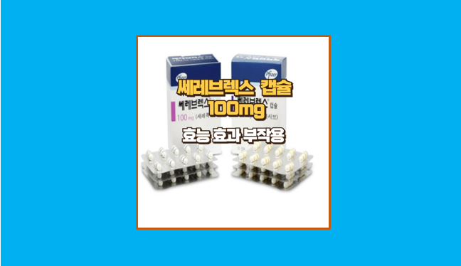 쎄레브렉스캡슐 100mg