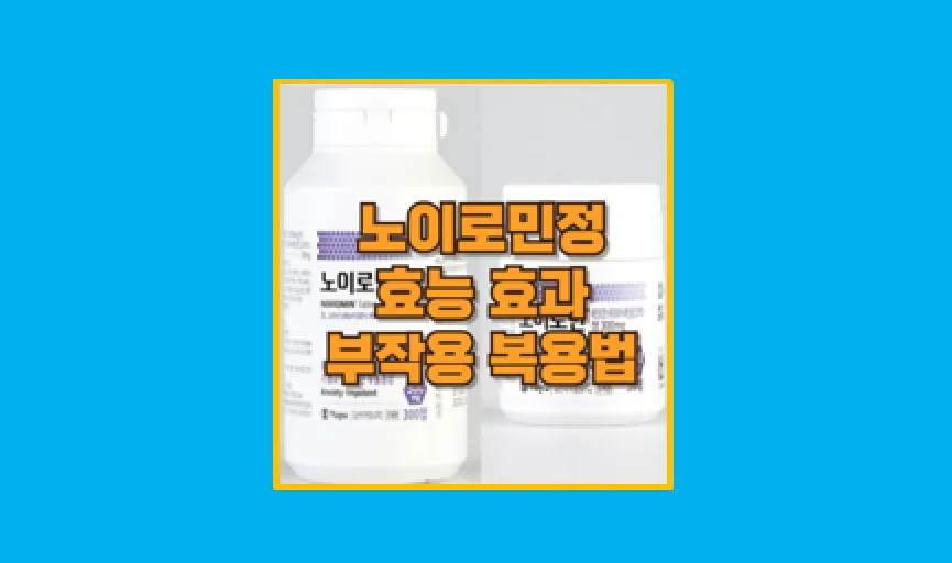 노이로민정 효능