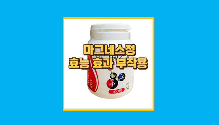 마그네스정